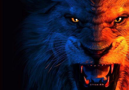 lion fond d'écran numérique, prédateur, art, sourire, lion, le roi, jean pierre, Fond d'écran HD HD wallpaper