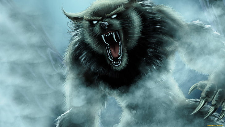 Werewolf, HD wallpaper
