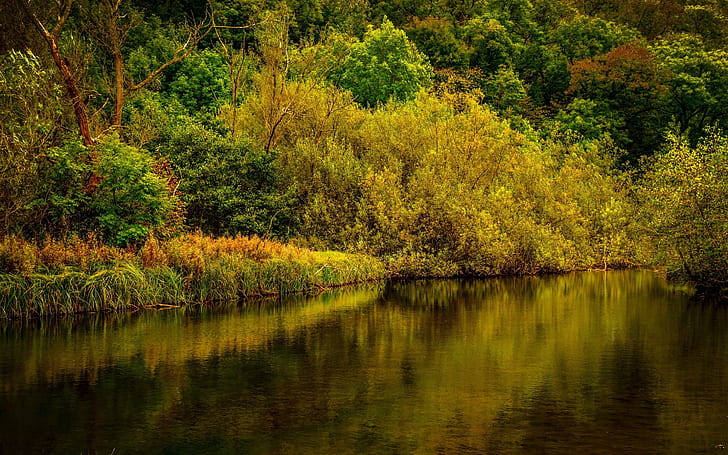 Derbyshire Park Landscape, landscape, forest, lake, HD wallpaper
