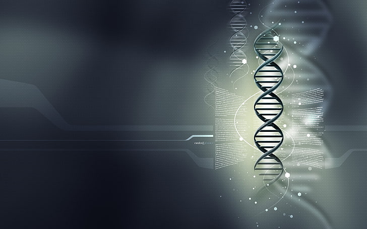 schwarze Spirale Tapete, DNA, Wissenschaft, Biologie, Chemie, digitale Kunst, einfacher Hintergrund, Genetik, Grafik, HD-Hintergrundbild