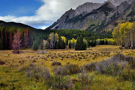 landscape photography of mountain beside forest, banff national park, banff national park, Yellows, Greens, Reds, Mountain, Backdrop, Banff National Park, landscape photography, forest, Nikon D800E, Day, Trip, Alberta, British Columbia, Bow Valley Parkway, Hillsdale, Meadow, Mount Ishbel, North, Capture, NX2, Edited, Color, Pro, Nature, Landscape, Blue Skies, Clouds, Rocky Mountains, Canadian Rockies, Rolling, Distance, Hillside, Trees, Evergreens, Grassy, Provincial Highway No. 1A, Central Front, Front Ranges, Slate, Sawback Range, Canvas, Portfolio, Mountainside, Canada, autumn, tree, scenics, outdoors, beauty In Nature, HD wallpaper HD wallpaper