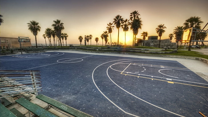 gray basketball court, basketball, beach, palm trees, Los Angeles, Venice, HD wallpaper