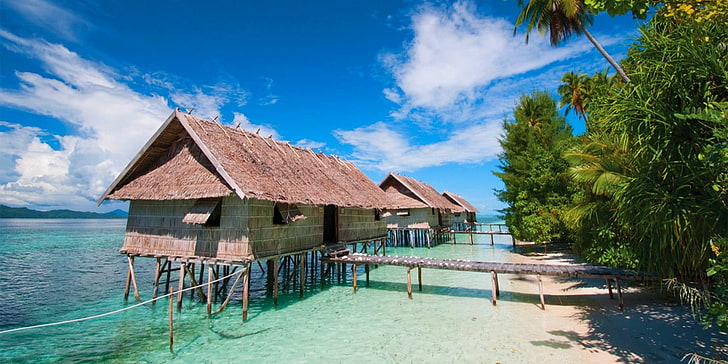 nature, water, cabin, scuba diving, beach, palm trees, landscape, Papua New Guinea, sea, tropical, island, clouds, HD wallpaper