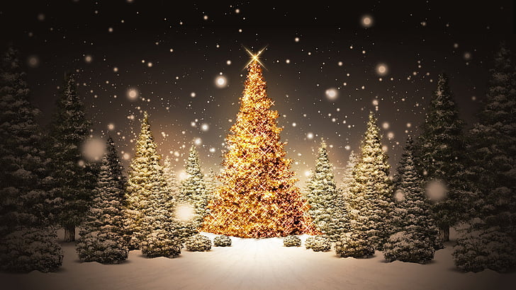 クリスマス、冬、雪、休日、クリスマス、装飾、デザイン、お祝い、年、モミ、シーズン、ツリー、新しい、星、スノーフレーク、寒さ、星、飾り、12月、アート、季節、イブ、カード、光、パターン、グラフィック、フレーム、装飾、夜、雪、光沢のある、氷、スペース、シンボル、伝統的な、お祝い、祝う、壁紙、メリー、紙、 HDデスクトップの壁紙