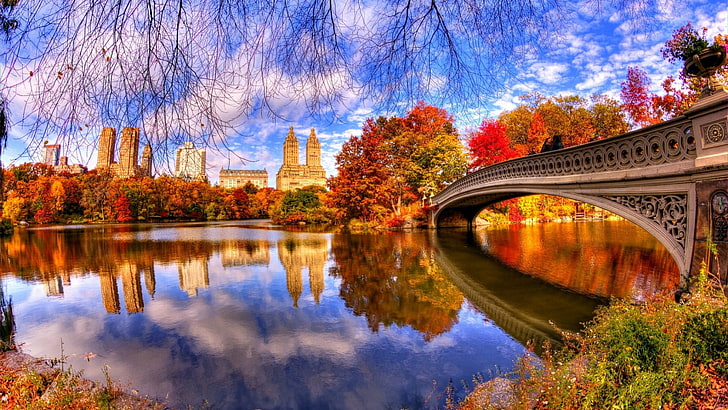 река, мост, носови мост, САЩ, Ню Йорк, Манхатън, Централен парк, отразено, през деня, град, отражение, банка, дърво, есен, небе, забележителност, воден път, листо, природа, вода, HD тапет