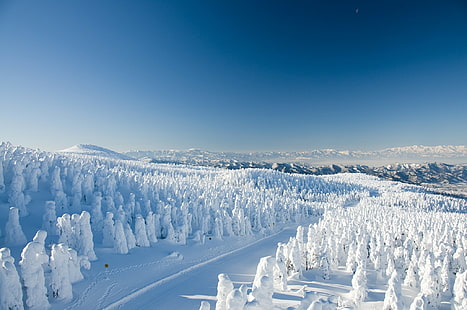 Yamagata Zao Onsen Ski Resort, weißer Schnee, Straße, Schnee, Wald, Bäume, Winter, Japan, Berg, Yamagata Zao Onsen Ski Resort, Yamagata, HD-Hintergrundbild HD wallpaper