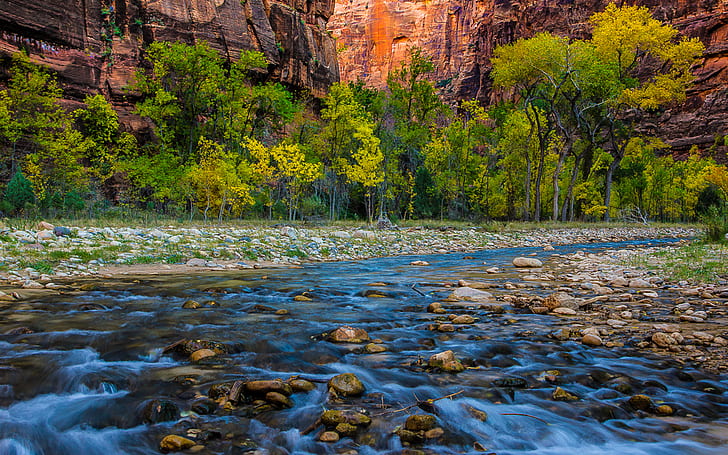 River In Zion National Park And Bryce Canyon Desktop HD Wallpaper-1920 × 1200, HD tapet