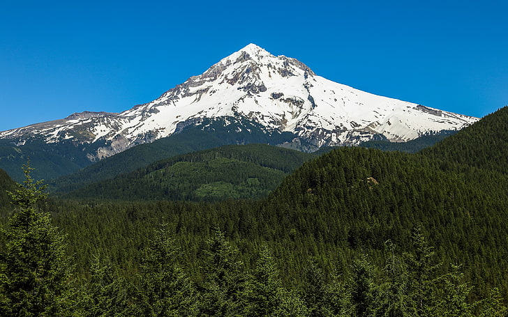 alps mountain, photography, nature, landscape, snowy peak, blue, sky, forest, pine trees, Mount Hood, Oregon, mountains, HD wallpaper