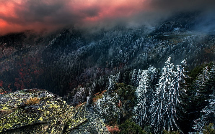 alam, lanskap, pegunungan, musim dingin, hutan, salju, awan, langit, pohon pinus, Wallpaper HD