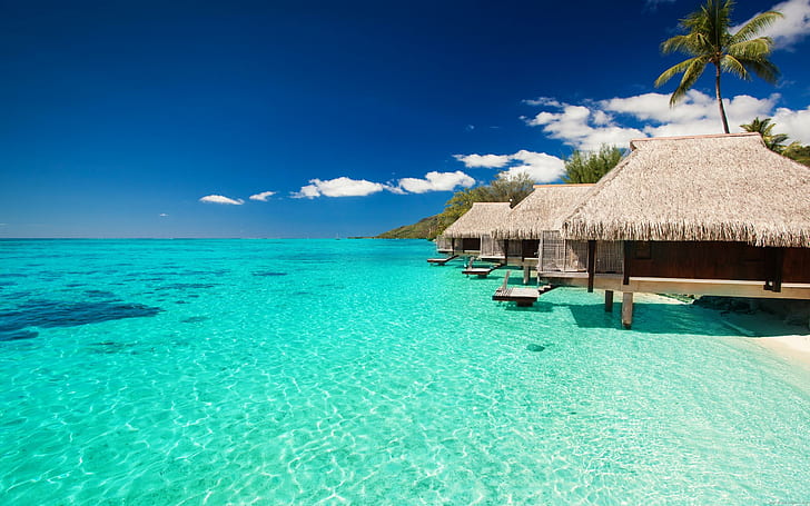 Bungalows sur la mer aux maldives, 3 cabanes nipa brunes, mer, vacances, bungalow, maldives, paysage, Fond d'écran HD