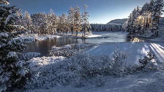 przyroda, krajobraz, zimno, lód, zima, śnieg, mróz, Tapety HD HD wallpaper