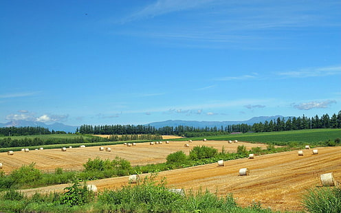 Hokkaido Lscape 20 - Hq, коричнево-зеленое поле, пейзаж, Хоккайдо, 3d и аннотация, HD обои HD wallpaper