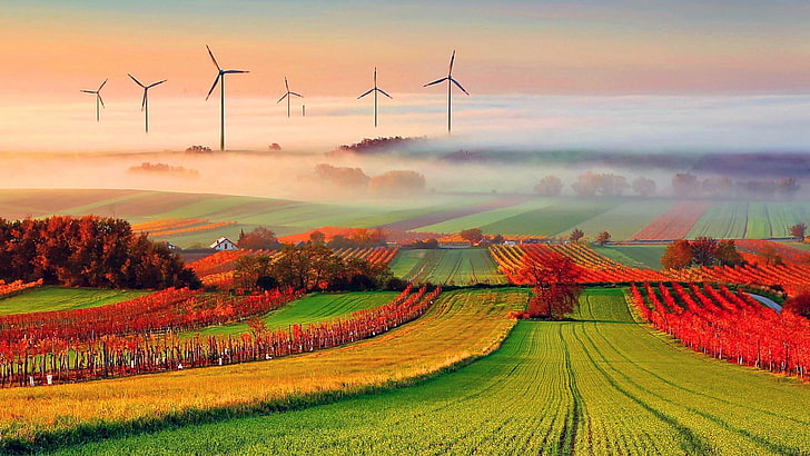 successo, agricoltura, generatore eolico, vento, panorama, mulino a vento, turbine, nebbia, nebbia, mattina, Sfondo HD