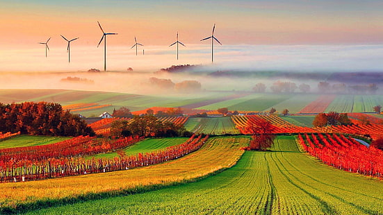 successful, agriculture, wind generator, wind, landscape, windmill, turine, fog, misty, morning, HD wallpaper HD wallpaper
