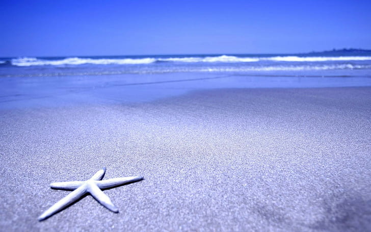 wybrzeże, morze, plaża, Tapety HD