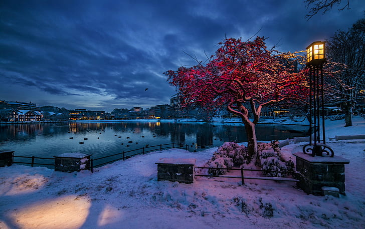 Norway, Rogaland, Stavanger, Norway, Rogaland, Stavanger, winter, snow, evening twilight, lights, lantern, HD wallpaper