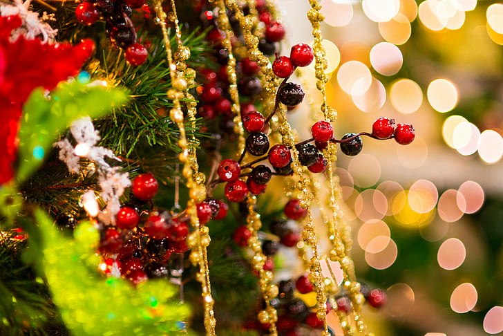 Oddział ostrokrzewu, gałąź, ostrokrzew, drzewo, świerk, zabawki, Boże Narodzenie, koraliki, złoto, ozdoby, blichtr, wakacje, nowy rok, zima, Tapety HD
