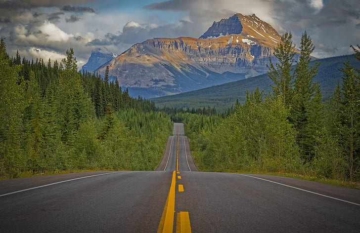 road, forest, trees, mountains, Canada, Rocky Mountains, Icefields Parkway, HD wallpaper
