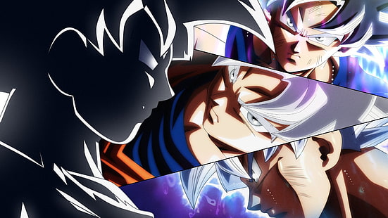 Son Goku Ultra Instinct Collage, Dragonball, Dragonball Super, Goku, Ultra Instinct (Dragonball), HD-Hintergrundbild HD wallpaper