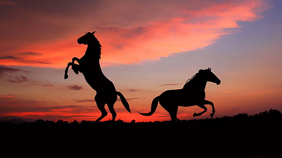 silhouette de deux chevaux, cheval, silhouette, ombre, coucher de soleil, Fond d'écran HD HD wallpaper