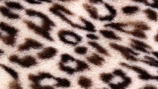tessuto leopardo bianco e marrone, stampa leopardo, sfondo, trama, maculato, Sfondo HD HD wallpaper