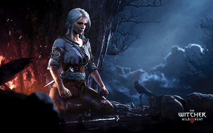 Ciri Meditating The Witcher 3 Wild H, The Witcher wallpaper, Games, The Witcher, The Witcher 3 Wild Hunt, Tapety HD