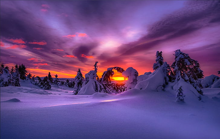 المناظر الطبيعية والطبيعة والسماء الأرجواني والشتاء والثلج والغروب، خلفية HD