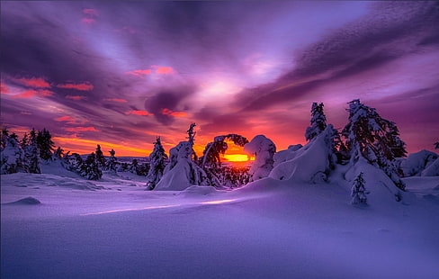 landskap, natur, lila himmel, vinter, snö, solnedgång, HD tapet HD wallpaper