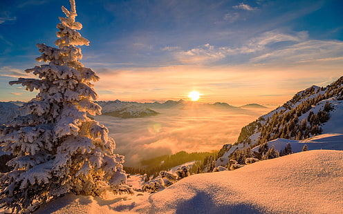 мъгла, зима, изгрев, природа, дървета, планини, слънце, сняг, борови дървета, HD тапет HD wallpaper