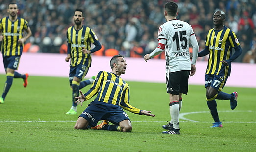 Robin van Persie, Fenerbahçe, Besiktas J.K., soccer, sport, men, HD wallpaper HD wallpaper