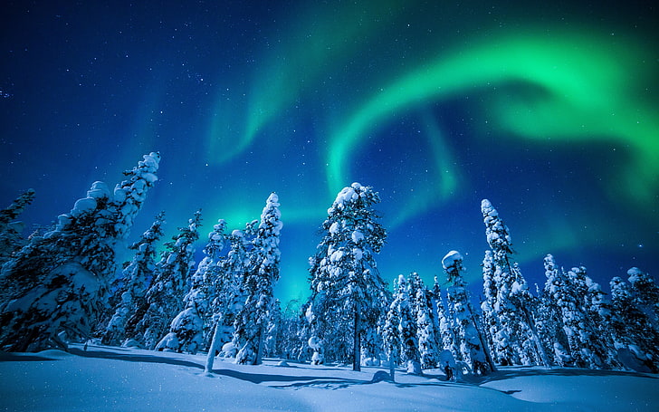 Finland winter forest aurora 4K Ultra HD, HD wallpaper