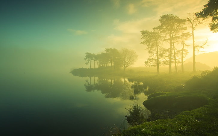 nature, mist, lake, trees, sunlight, dappled sunlight, landscape, reflection, HD wallpaper