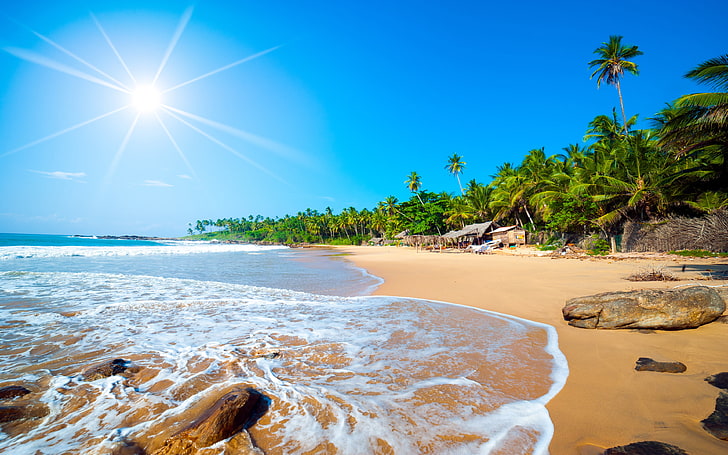 Экзотический Шри-Ланка Джафна Бич Тропический Лес Пальмы Океанские Волны Песчаный Пляж Ндиан Океан Тропический HD Обои 3840 × 2400, HD обои