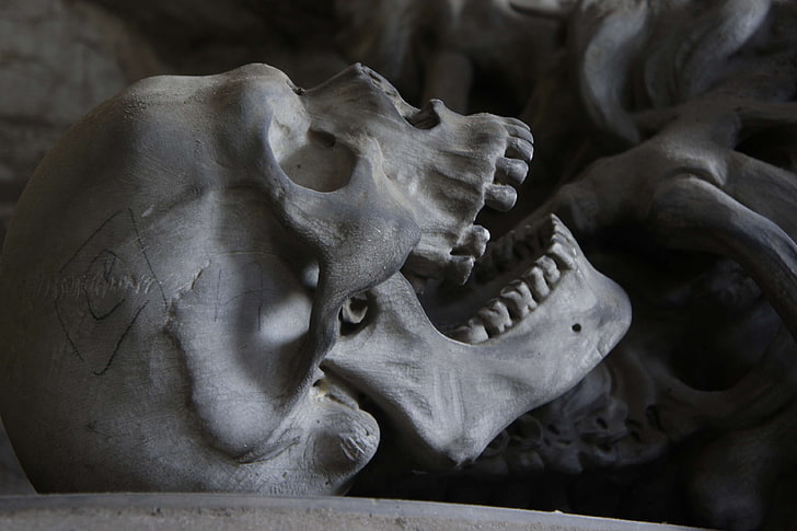 bite, bone, cemetery, death, die, genoa, gothic, homo sapiens, human, human anatomy, scare, scary, skeleton, skull, teeth, tooth, weird, HD wallpaper