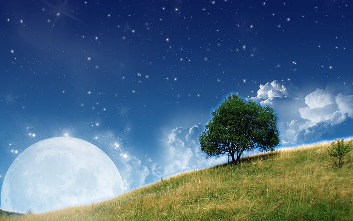 Moon Shine, obraz księżyca i drzewa, księżyc, blask, Tapety HD