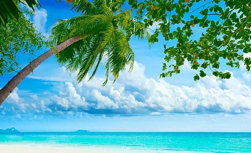 Tropical Beach Resorts, palm tree, Nature, Beach, Travel/Islands, beautiful, summer, landscape, summertime, tropical, resorts, exotic, summer season, ocean, islands, HD wallpaper HD wallpaper