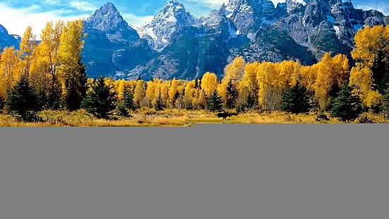 風景秋シーズンフォレストワイオミンググランドティトン国立公園湖反射写真、湖、秋、森林、グランド、風景、国立、公園、写真、反射、季節、テトン、ワイオミング、 HDデスクトップの壁紙 HD wallpaper