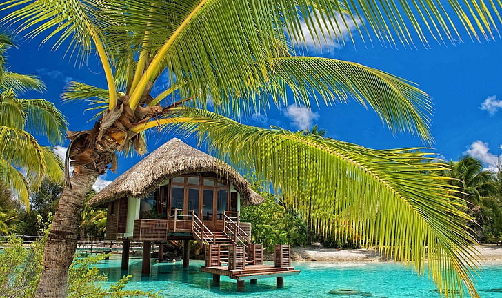 cocotier, palmiers, station balnéaire, plage, tropical, eau, bungalow, mer, été, nature, paysage, Fond d'écran HD