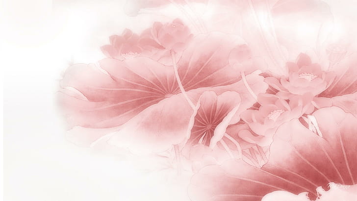 Lotus Blossom Bliss, desvanece-se, florescer, oriental, flor, flor, desvanece-se, flor, desvanece-se, visionário, lótus, rosa, resumo, HD papel de parede