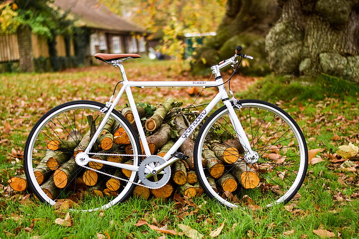 white commuter bike, bicycle, autumn, foliage, HD wallpaper