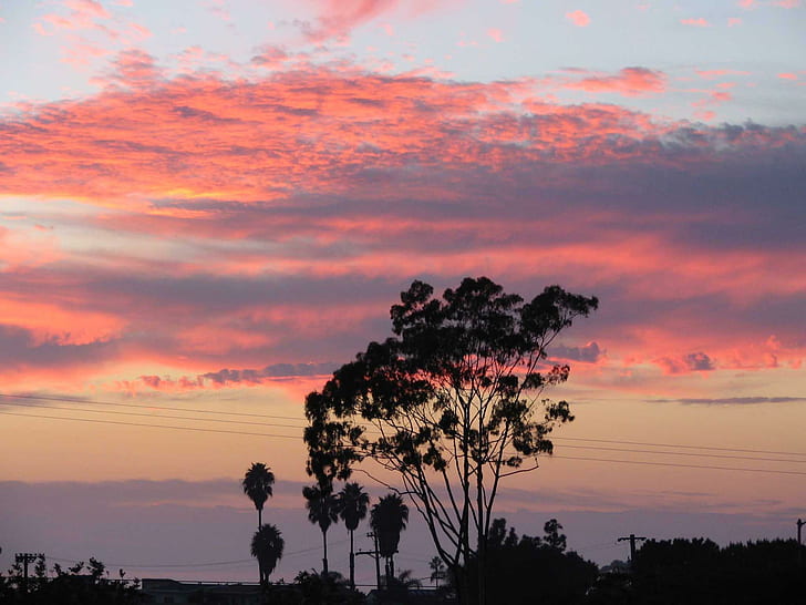 Sunset Clouds, romántico, palmeras, puesta de sol, rosa, océano, púrpura, sombras, nubes, 3d y abstracto, Fondo de pantalla HD