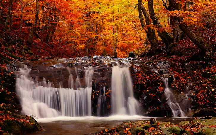 landscape, fall, forest, river, waterfall, trees, HD wallpaper