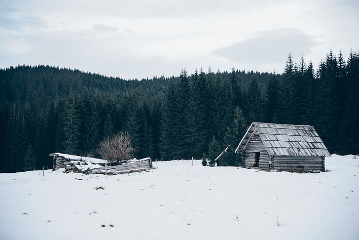 ธรรมชาติ, บ้าน, ต้นไม้, หิมะ, ป่า, ถูกทอดทิ้ง, วอลล์เปเปอร์ HD