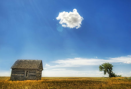 brown nipa hut under blue cloudy sky, Lonely, nipa hut, blue, cloudy, sky, d2x, Portfolio, Montana, Hdr, clouds, shed, tree, wheat  fields, beautiful, travel, adventure, tutorial, alone, nature, landscape, horizon, painting, beauty, gorgeous, Photographer, Pro, Nikon, Photography, Panorama, details, Perspective, Shot, Shoot, Capture, Image, Photos, Picture, Edge, Angle, lines, work, Composition, Processing, Treatment, Framing, Unique, Background, triangle, triangular, sky  blue, imagine, simple, cool, daring, bold, artist, best, cloud, high  dynamic  range, field, plain, world, solitary, symmetry, rural Scene, farm, agriculture, barn, non-Urban Scene, outdoors, HD wallpaper HD wallpaper