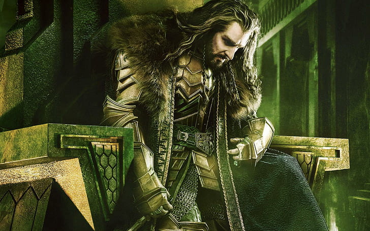 Thorin Oakenshield en The Hobbit, películas, películas de hollywood, hollywood, 2014, Fondo de pantalla HD