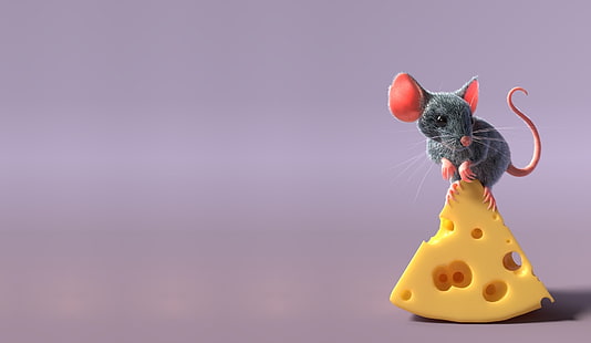 Животное, Мышь, Сыр, Грызун, HD обои HD wallpaper