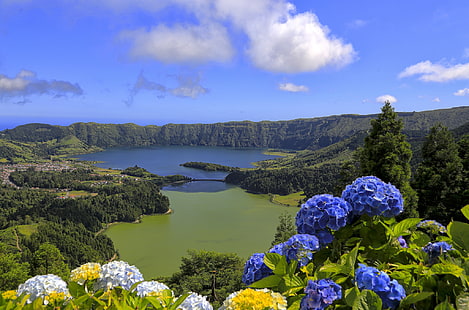 fiori di ortensia blu, bianchi e gialli, fiori, montagne, lago, Portogallo, Azzorre, l'isola di San Miguel, Sfondo HD HD wallpaper