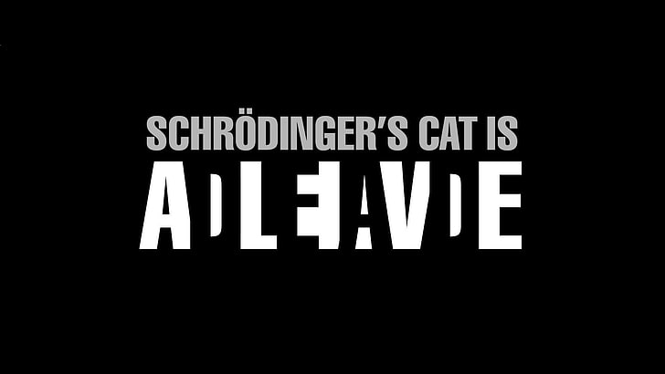 Кот Шредингера - это живой текст на черном фоне, черный фон, простой, наука, Кот Шредингера, Schrödinger, типография, произведение искусства, текст, юмор, черный, HD обои