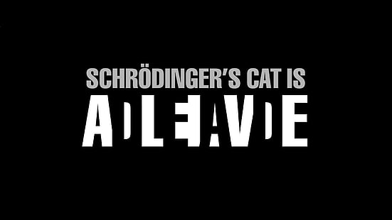Kot Schrodingera żyje tekst na czarnym tle, czarne tło, proste, nauka, kot Schrodingera, Schrödinger, typografia, grafika, tekst, humor, czarny, Tapety HD HD wallpaper