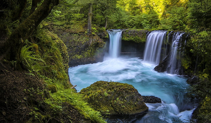 Wald, Fluss, Wasserfall, Washington, Columbia River Gorge, Columbia River Gorge, Little White Salmon River, Spirit If, HD-Hintergrundbild
